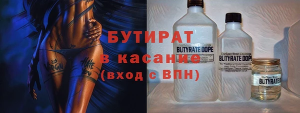 стаф Бородино