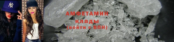 стаф Бородино