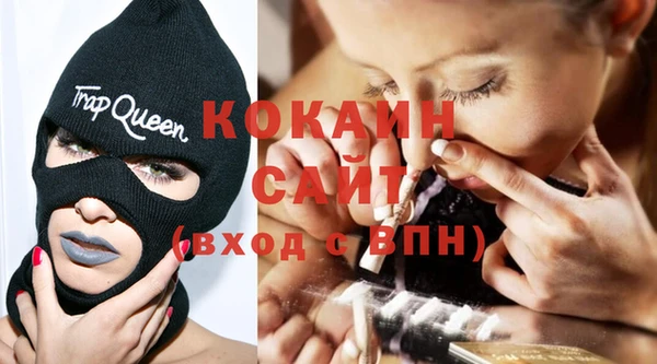 стаф Бородино